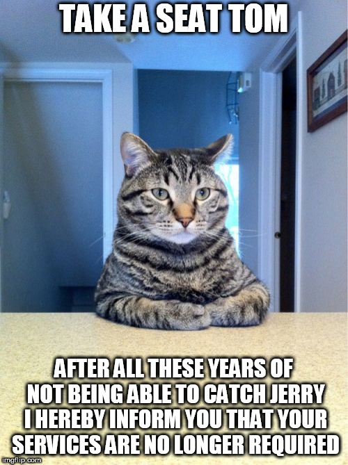 Take A Seat Cat Meme | TAKE A SEAT TOM; AFTER ALL THESE YEARS OF NOT BEING ABLE TO CATCH JERRY I HEREBY INFORM YOU THAT YOUR SERVICES ARE NO LONGER REQUIRED | image tagged in memes,take a seat cat,tom and jerry | made w/ Imgflip meme maker