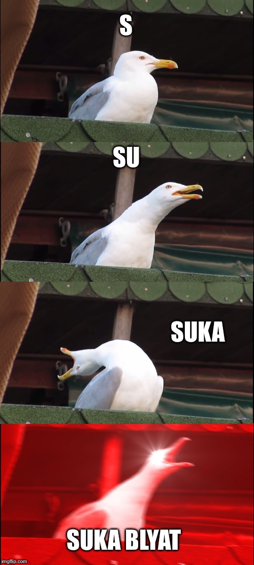 Inhaling Seagull | S; SU; SUKA; SUKA BLYAT | image tagged in memes,inhaling seagull | made w/ Imgflip meme maker