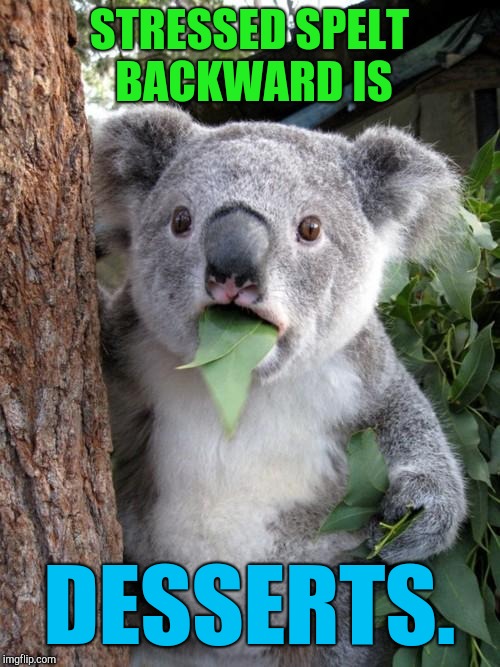 Surprised Koala | STRESSED SPELT BACKWARD IS; DESSERTS. | image tagged in memes,surprised koala | made w/ Imgflip meme maker