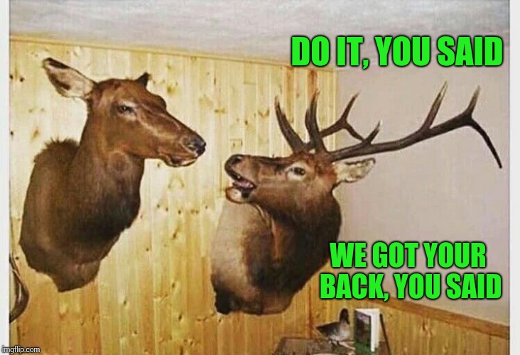 DO IT, YOU SAID WE GOT YOUR BACK, YOU SAID | made w/ Imgflip meme maker
