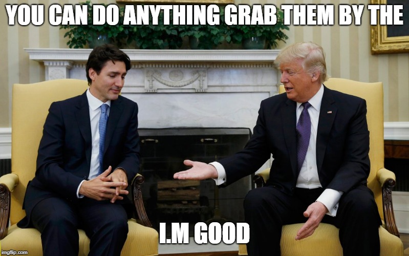 Trudeau Trump | YOU CAN DO ANYTHING GRAB THEM BY THE; I.M GOOD | image tagged in trudeau trump | made w/ Imgflip meme maker