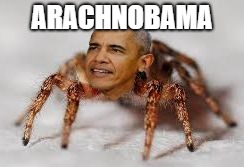 Arachnobama | ARACHNOBAMA | image tagged in arachnobama,memes,obama,barack obama,spider,spiders | made w/ Imgflip meme maker