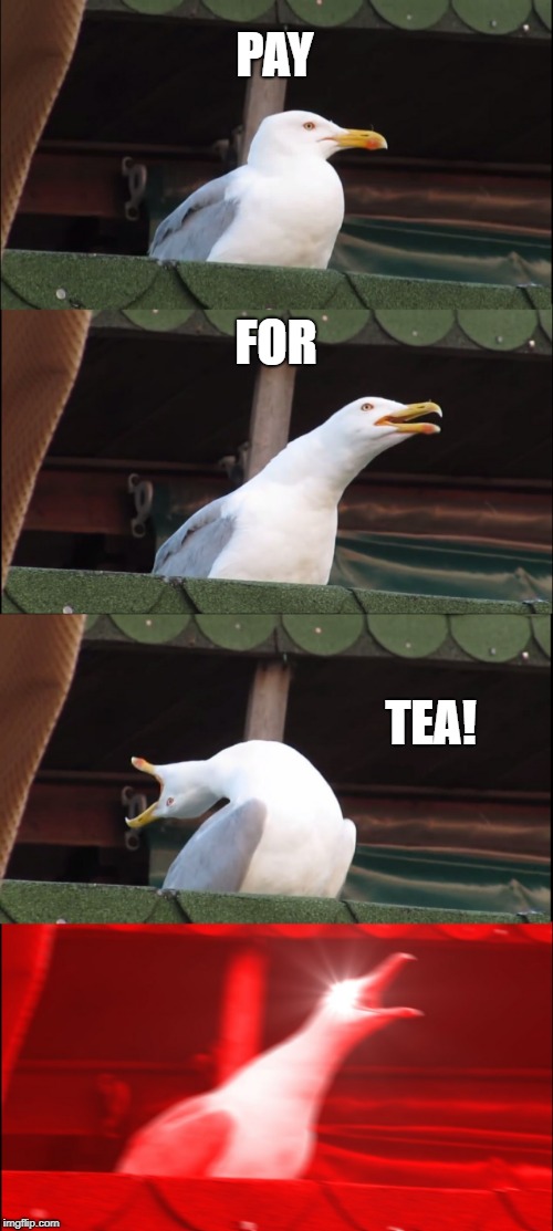 Inhaling Seagull | PAY; FOR; TEA! | image tagged in memes,inhaling seagull | made w/ Imgflip meme maker