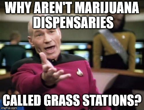 Captain Logic? | WHY AREN'T MARIJUANA DISPENSARIES; CALLED GRASS STATIONS? | image tagged in piccard,marijuana | made w/ Imgflip meme maker