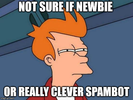 Futurama Fry Meme | NOT SURE IF NEWBIE; OR REALLY CLEVER SPAMBOT | image tagged in memes,futurama fry | made w/ Imgflip meme maker