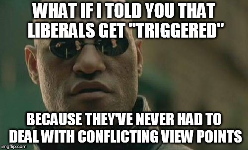 Matrix Morpheus | WHAT IF I TOLD YOU THAT LIBERALS GET "TRIGGERED"; BECAUSE THEY'VE NEVER HAD TO DEAL WITH CONFLICTING VIEW POINTS | image tagged in memes,matrix morpheus | made w/ Imgflip meme maker