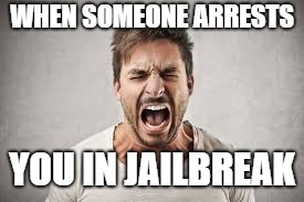 nooo | WHEN SOMEONE ARRESTS; YOU IN JAILBREAK | image tagged in bad | made w/ Imgflip meme maker
