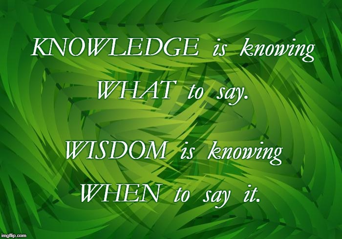 Knowledge vs Wisdom | KNOWLEDGE  is  knowing; WHAT  to  say. WISDOM  is  knowing; WHEN  to  say  it. | image tagged in knowledge,wisdom,knowing when to say,knowing what to say | made w/ Imgflip meme maker