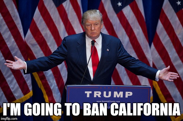 Donald Trump | I'M GOING TO BAN CALIFORNIA | image tagged in donald trump | made w/ Imgflip meme maker