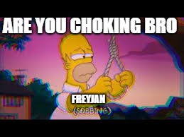 ARE YOU CHOKING BRO; FREYJAN | image tagged in sad | made w/ Imgflip meme maker