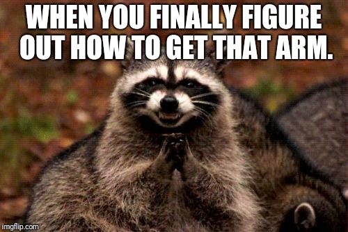Evil Plotting Raccoon Meme | WHEN YOU FINALLY FIGURE OUT HOW TO GET THAT ARM. | image tagged in memes,evil plotting raccoon | made w/ Imgflip meme maker