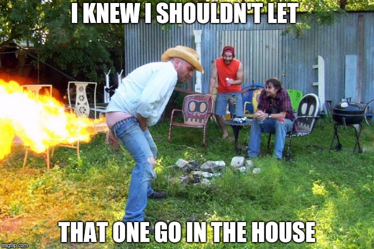 flame fart | I KNEW I SHOULDN'T LET THAT ONE GO IN THE HOUSE | image tagged in flame fart | made w/ Imgflip meme maker