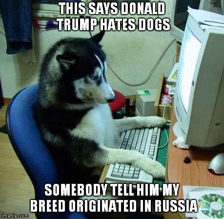 Siberian Russkies | THIS SAYS DONALD TRUMP HATES DOGS; SOMEBODY TELL HIM MY BREED ORIGINATED IN RUSSIA | image tagged in memes,i have no idea what i am doing,siberian huskies | made w/ Imgflip meme maker