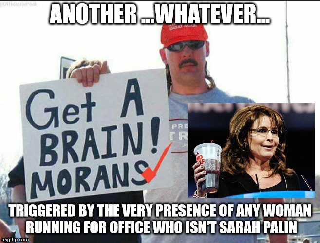 trump supporter | ANOTHER ...WHATEVER... TRIGGERED BY THE VERY PRESENCE OF ANY WOMAN RUNNING FOR OFFICE WHO ISN'T SARAH PALIN | image tagged in trump supporter | made w/ Imgflip meme maker