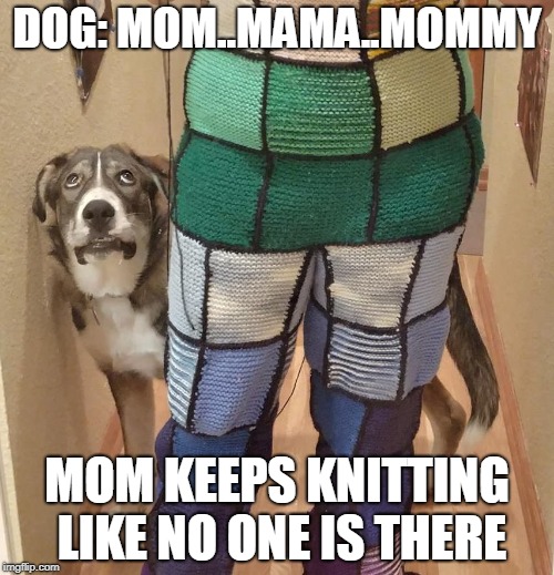 DOG: MOM..MAMA..MOMMY; MOM KEEPS KNITTING LIKE NO ONE IS THERE | image tagged in knit dog | made w/ Imgflip meme maker