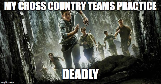 Maze runner | MY CROSS COUNTRY TEAMS PRACTICE; DEADLY | image tagged in maze runner | made w/ Imgflip meme maker