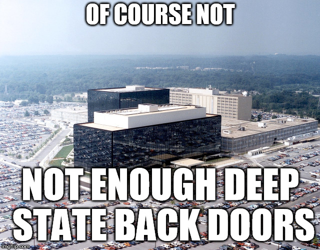 NSA hq | OF COURSE NOT NOT ENOUGH DEEP STATE BACK DOORS | image tagged in nsa hq | made w/ Imgflip meme maker