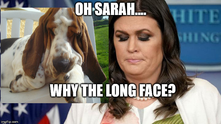 sarah huckabee sanders | OH SARAH.... WHY THE LONG FACE? | image tagged in sarah huckabee sanders | made w/ Imgflip meme maker