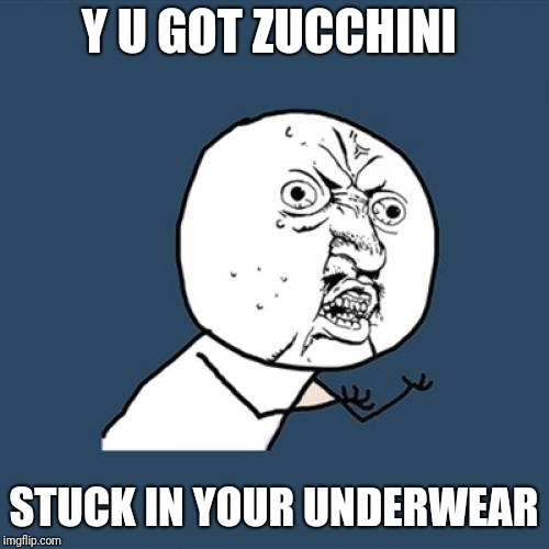 Zucchini In Your Underwear | Y U GOT ZUCCHINI; STUCK IN YOUR UNDERWEAR | image tagged in memes,y u no,underwear | made w/ Imgflip meme maker