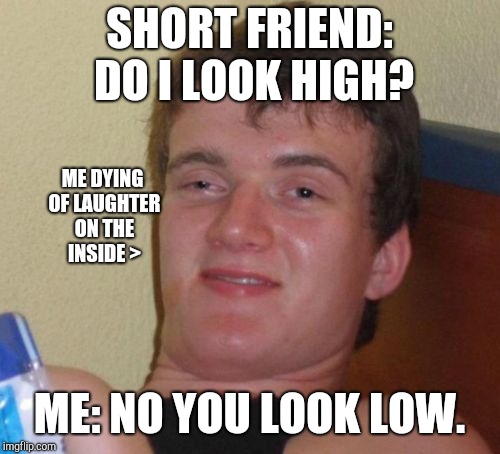 10 Guy Meme | SHORT FRIEND: DO I LOOK HIGH? ME DYING OF LAUGHTER ON THE INSIDE >; ME: NO YOU LOOK LOW. | image tagged in memes,10 guy | made w/ Imgflip meme maker