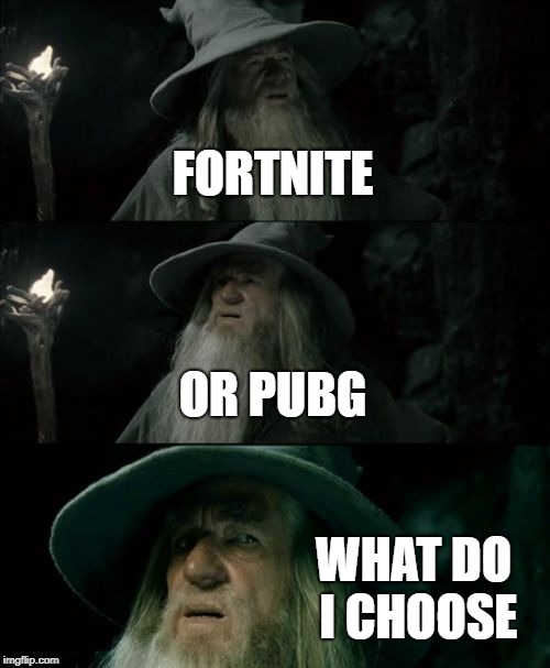 Confused Gandalf | FORTNITE; OR PUBG; WHAT DO I CHOOSE | image tagged in memes,confused gandalf | made w/ Imgflip meme maker
