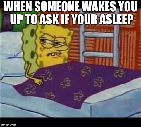 SpongeBob waking up  | WHEN SOMEONE WAKES YOU UP TO ASK IF YOUR ASLEEP | image tagged in spongebob waking up | made w/ Imgflip meme maker
