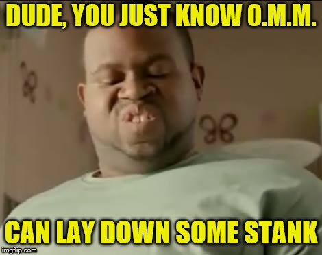 Stanky Smell | DUDE, YOU JUST KNOW O.M.M. CAN LAY DOWN SOME STANK | image tagged in stanky smell | made w/ Imgflip meme maker