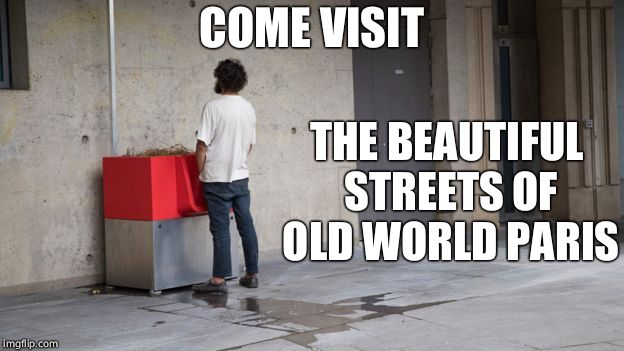 Book your trip today! | COME VISIT; THE BEAUTIFUL STREETS OF OLD WORLD PARIS | image tagged in streets of paris,france,toilet,memes,disgusting | made w/ Imgflip meme maker