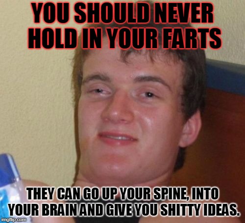 scientifically proven! | YOU SHOULD NEVER HOLD IN YOUR FARTS; THEY CAN GO UP YOUR SPINE, INTO YOUR BRAIN AND GIVE YOU SHITTY IDEAS. | image tagged in memes,10 guy,life advice,tips | made w/ Imgflip meme maker