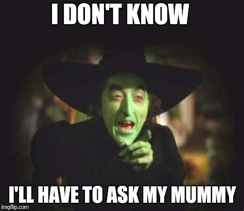 I DON'T KNOW I'LL HAVE TO ASK MY MUMMY | made w/ Imgflip meme maker