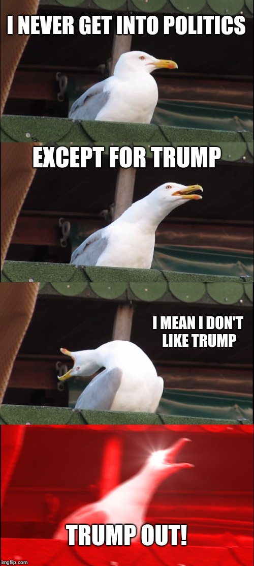 Neutral Seagull | I NEVER GET INTO POLITICS; EXCEPT FOR TRUMP; I MEAN I DON'T LIKE TRUMP; TRUMP OUT! | image tagged in memes,trump | made w/ Imgflip meme maker