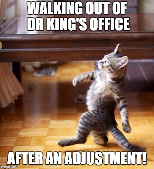 Swag cat | WALKING OUT OF DR KING'S OFFICE; AFTER AN ADJUSTMENT! | image tagged in swag cat | made w/ Imgflip meme maker