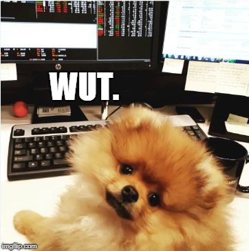 WUT. | image tagged in taco davie at work | made w/ Imgflip meme maker