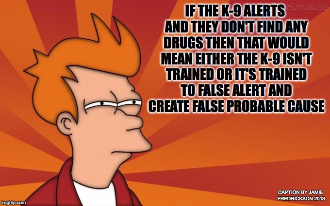 IF THE K-9 ALERTS AND THEY DON'T FIND ANY DRUGS THEN THAT WOULD MEAN EITHER THE K-9 ISN'T TRAINED OR IT'S TRAINED TO FALSE ALERT AND CREATE FALSE PROBABLE CAUSE; CAPTION BY JAMIE FREDRICKSON 2018 | image tagged in fry is fried | made w/ Imgflip meme maker