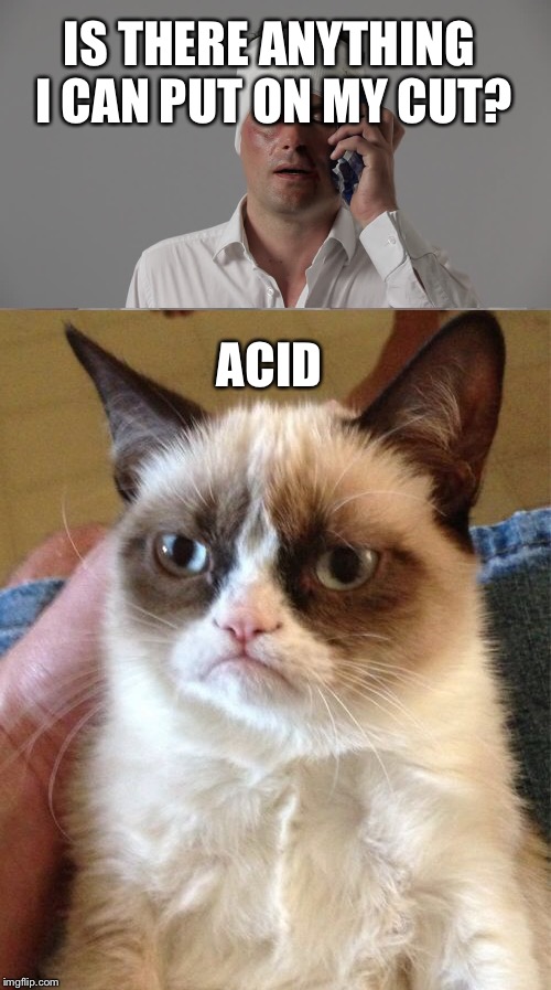 Grumpy cat | IS THERE ANYTHING I CAN PUT ON MY CUT? ACID | image tagged in grumpy cat | made w/ Imgflip meme maker