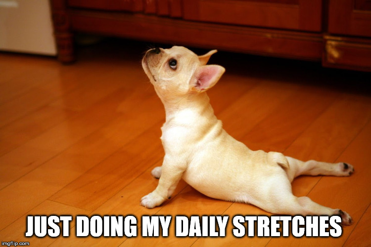 the funniest yoga | JUST DOING MY DAILY STRETCHES | image tagged in funny picture | made w/ Imgflip meme maker