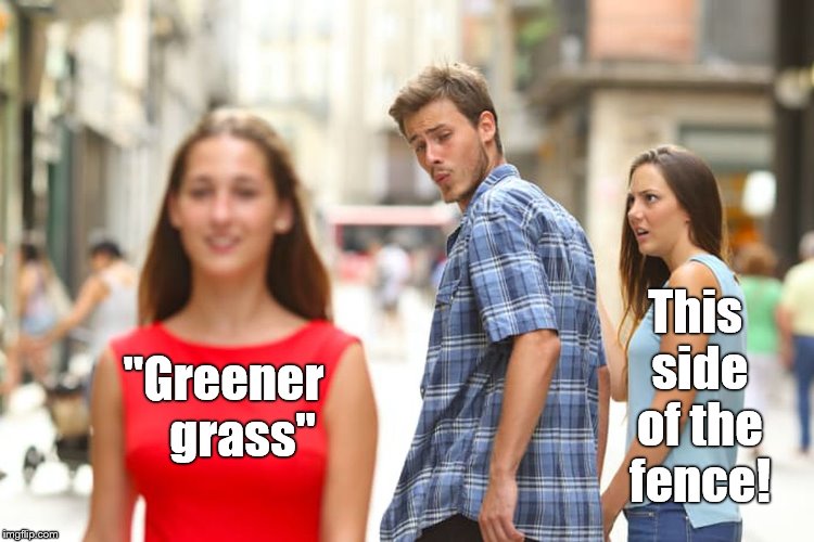 Do the words "Cruising for a bruising" mean anything to you? | This side of the fence! "Greener    grass" | image tagged in distracted boyfriend,cruisin for a bruisin,grass may seem greener,but the price is steep,just ask,douglie | made w/ Imgflip meme maker