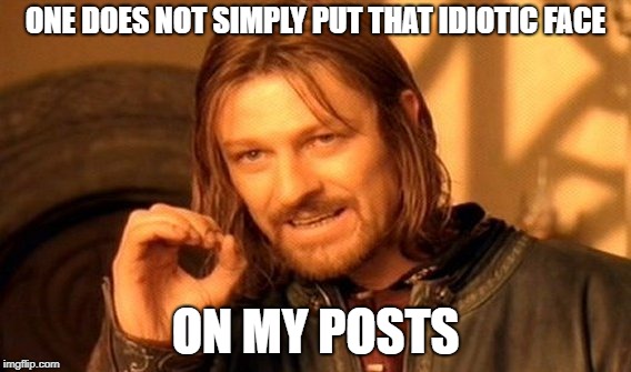One Does Not Simply Meme | ONE DOES NOT SIMPLY PUT THAT IDIOTIC FACE ON MY POSTS | image tagged in memes,one does not simply | made w/ Imgflip meme maker