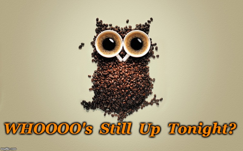 Caffeinated Night Owl | WHOOOO's  Still  Up  Tonight? | image tagged in coffee owl,night owl,coffee,stay up late | made w/ Imgflip meme maker