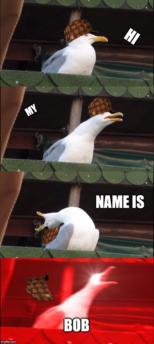 Inhaling Seagull Meme | HI; MY; NAME IS; BOB | image tagged in memes,inhaling seagull,scumbag | made w/ Imgflip meme maker