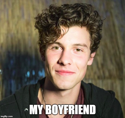 MY BOYFRIEND | image tagged in celebrity,shawn mendes | made w/ Imgflip meme maker