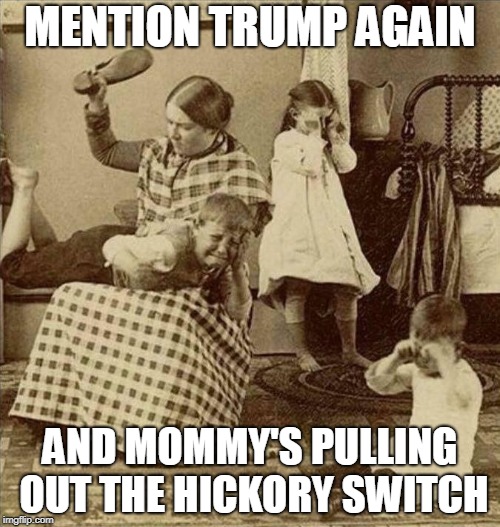 That's A Floggin | MENTION TRUMP AGAIN; AND MOMMY'S PULLING OUT THE HICKORY SWITCH | image tagged in trump,dump trump,impeach trump | made w/ Imgflip meme maker