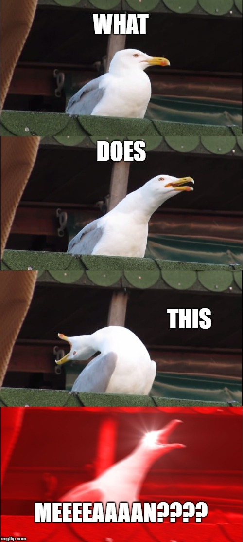 Inhaling Seagull | WHAT; DOES; THIS; MEEEEAAAAN???? | image tagged in memes,inhaling seagull | made w/ Imgflip meme maker