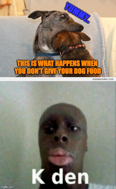 dog and dog | YUMMY.. THIS IS WHAT HAPPENS WHEN YOU DON'T GIVE YOUR DOG FOOD | image tagged in kden | made w/ Imgflip meme maker