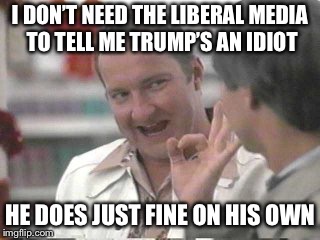 Cousin Eddie | I DON’T NEED THE LIBERAL MEDIA TO TELL ME TRUMP’S AN IDIOT HE DOES JUST FINE ON HIS OWN | image tagged in cousin eddie | made w/ Imgflip meme maker