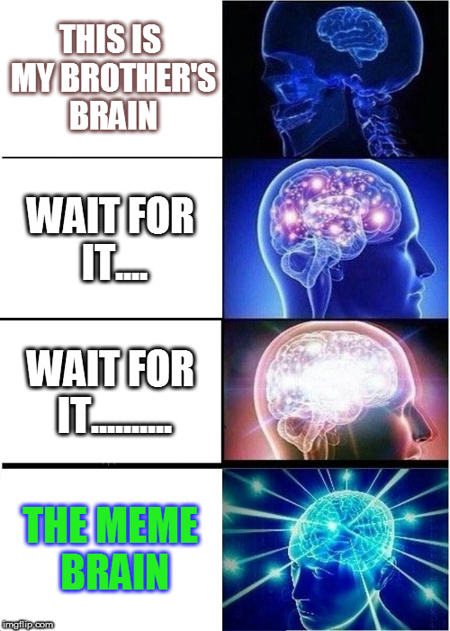 Expanding Brain Meme | THIS IS MY BROTHER'S BRAIN; WAIT FOR IT.... WAIT FOR IT.......... THE MEME BRAIN | image tagged in memes,expanding brain | made w/ Imgflip meme maker