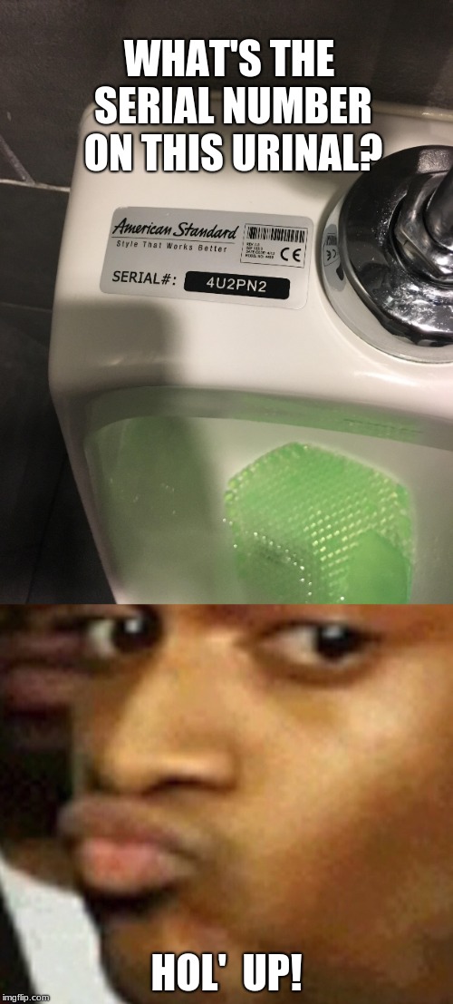 It's a little coincidental, don'cha think? | WHAT'S THE SERIAL NUMBER ON THIS URINAL? HOL'  UP! | image tagged in doubt,urinal,funny,meme | made w/ Imgflip meme maker