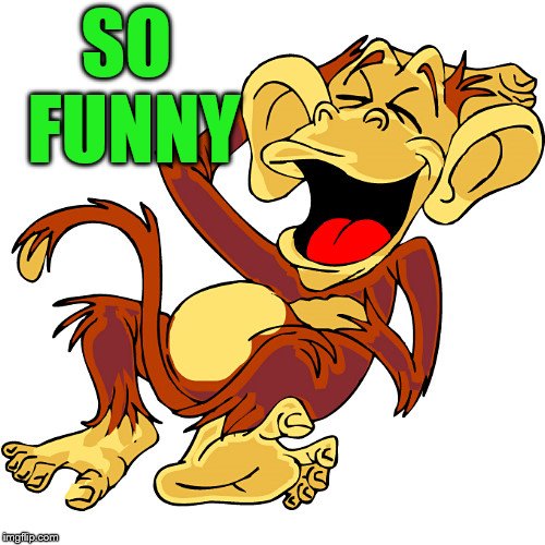 laughing monkey | SO FUNNY | image tagged in laughing monkey | made w/ Imgflip meme maker