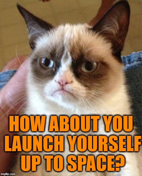 Grumpy Cat Meme | HOW ABOUT YOU LAUNCH YOURSELF UP TO SPACE? | image tagged in memes,grumpy cat | made w/ Imgflip meme maker