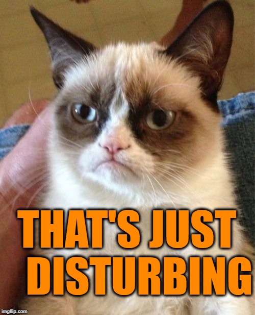 Grumpy Cat Meme | THAT'S JUST   DISTURBING | image tagged in memes,grumpy cat | made w/ Imgflip meme maker